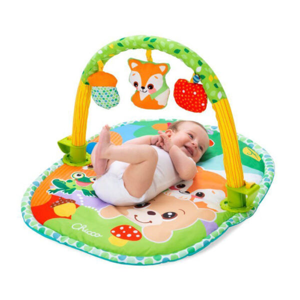 Γυμναστήριο Δραστηριοτήτων Chicco 3σε1 0m+