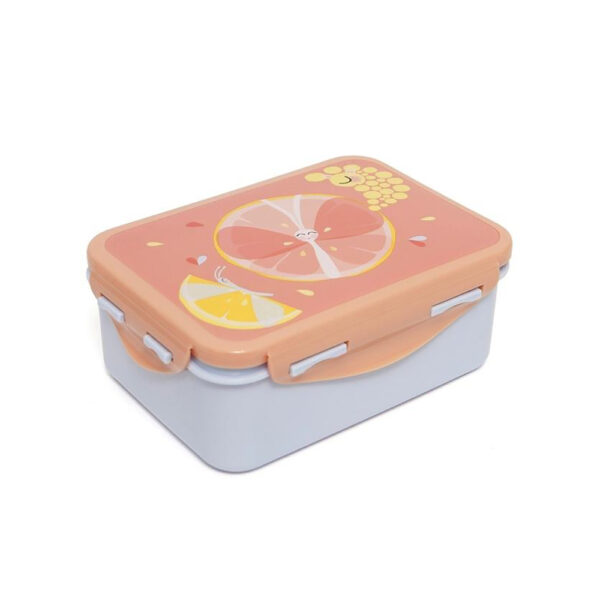 Δοχείο Φαγητού Petit Monkey Launchbox Flies